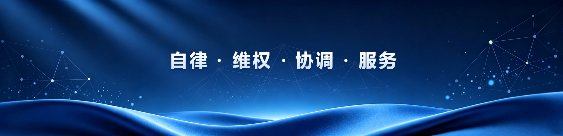 中国融资担保业协会简介
